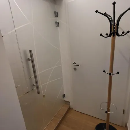 Apartma Leila * 博希尼