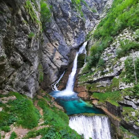 Apartamento Apartma Leila Bohinj