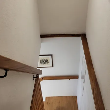 Apartma Leila * 博希尼