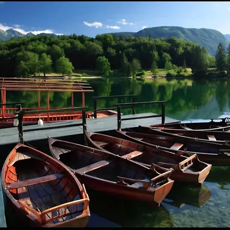 Apartamento Apartma Leila