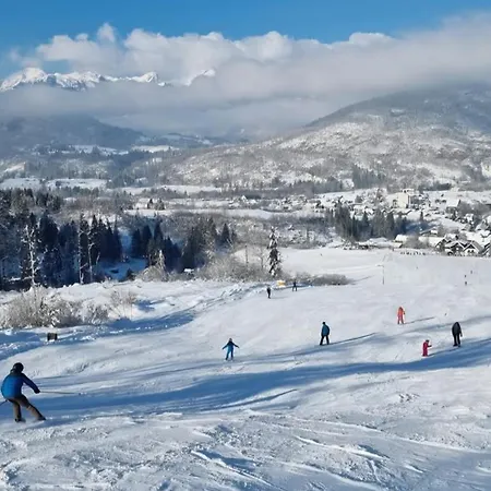 Apartma Leila * 博希尼