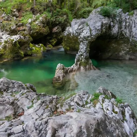 公寓 Apartma Leila