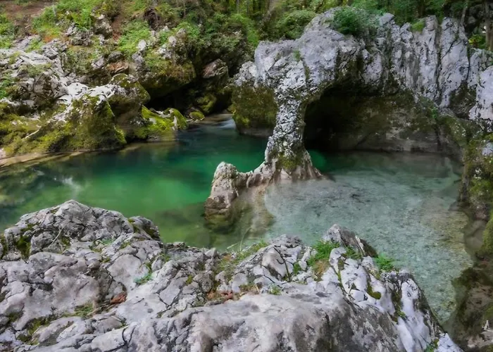 Apartmán Apartma Leila